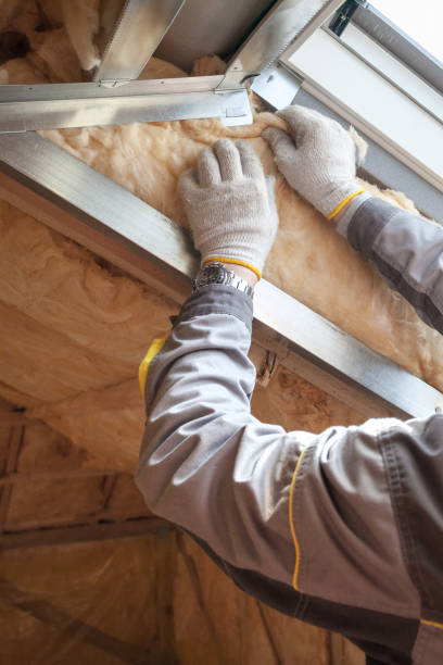 Best Insulation Inspection Services  in Levittown, NY