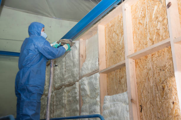 Best Energy-efficient Insulation  in Levittown, NY